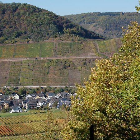 Ferienhaus Mosel Bub Bruttig-Fankel Kültér fotó